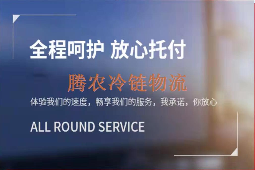 上海到銀川冷鏈物流/冷鏈倉儲(chǔ)/冷藏冷凍運(yùn)輸專線